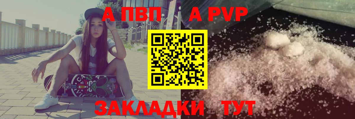 Alfa_PVP СК Нововоронеж