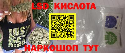 прущие грибы Камень-на-Оби