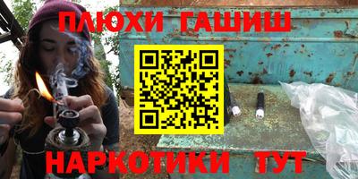 прущие грибы Камень-на-Оби