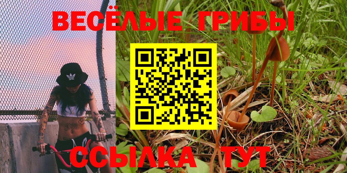 Псилоцибиновые грибы мухоморы  Вход с VPN  Нововоронеж 